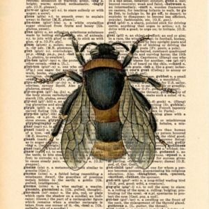 Meet your Posher, Marie